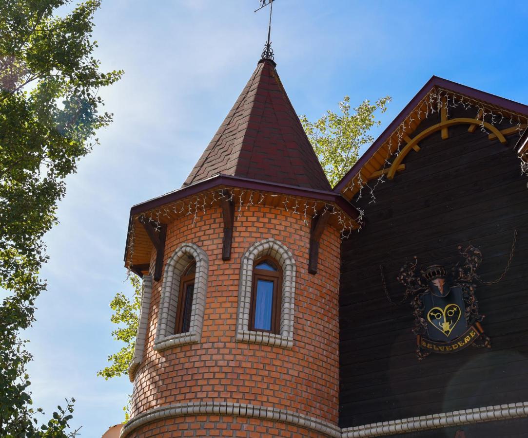 Castle Belvedere Буковель Екстер'єр фото